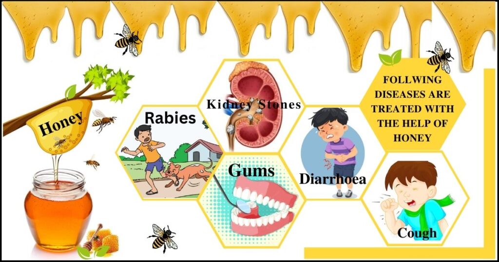 What Are The Top 5 Benefits Of Honey