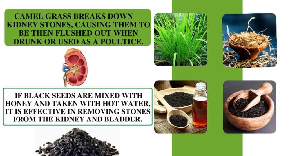 Kidney Stones - Quick Home Remedies