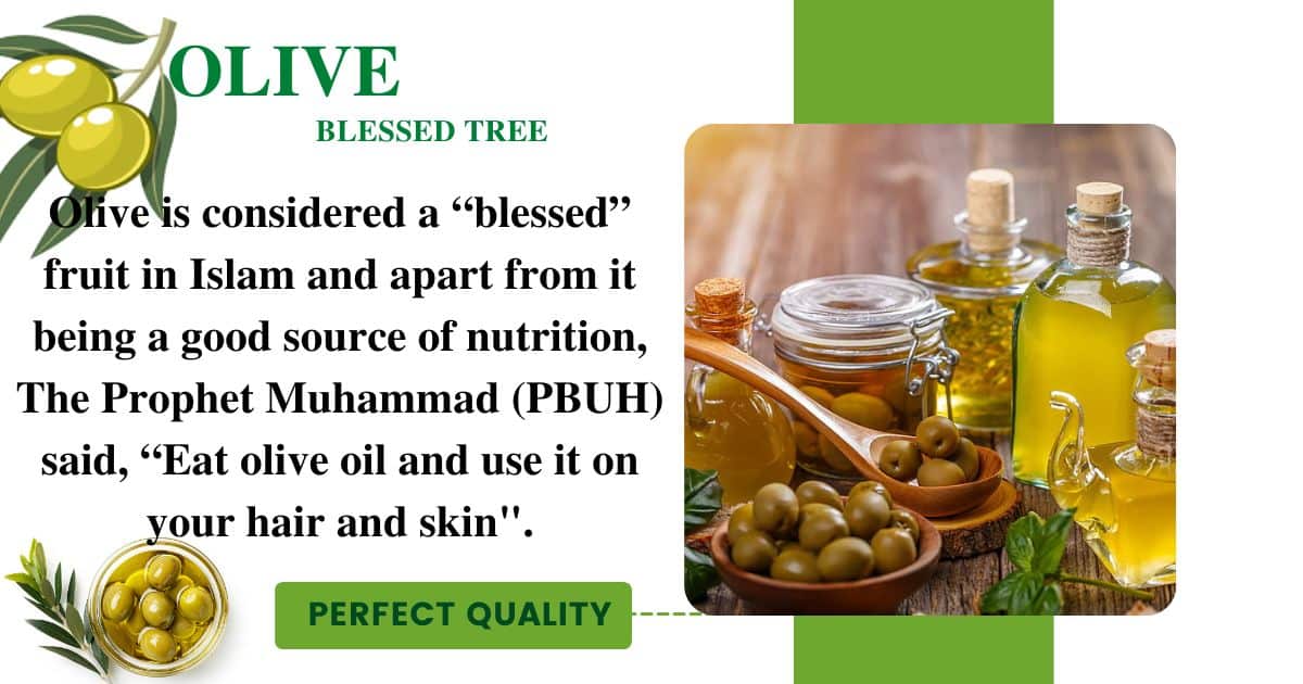 What does the Quran say about Figs & Olive